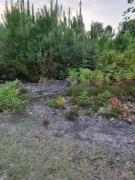 Top Parigné-lʼÉvêque