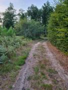 Top Parigné-lʼÉvêque