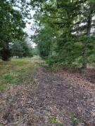 Top Parigné-lʼÉvêque