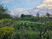 Top Parigné-lʼÉvêque