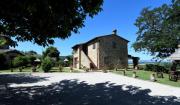 Top Paciano