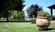 Top Paciano