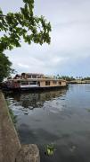 Top Alleppey
