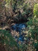 Top Rio Rufino