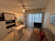 Appartement, animaux admis, clim - vue sur létang - FR-1-503-191