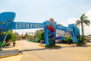 Top Acapulco