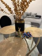 Top Ostrowiec Świętokrzyski