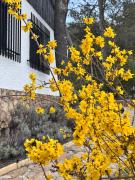 Top Albalate de Zorita