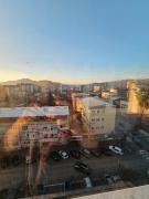 Top Pirot