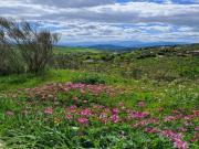Top Villanueva de la Concepción