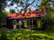 Lakeside Retreat for 5