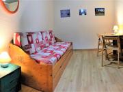 Studio confortable Pied des pistes Vue pistes WIFI gratuit - FR-1-267-339