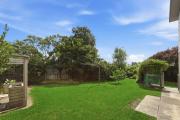 Top Paynesville