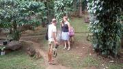 Ella Nature Park Hotel and Hostel