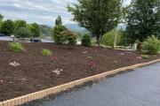 Top Wytheville