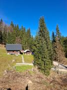 Brunarica na Goreljeku, Pokljuka