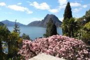 Top Lugano