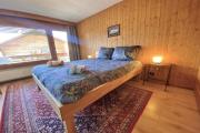 Top Verbier