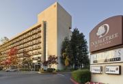 Top San Jose