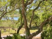 Top Cedar Key