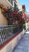 Top Palermo