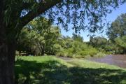 Top Los Reartes