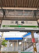 Top Kashiwa