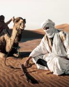 Top Merzouga
