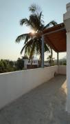 Top Nandi