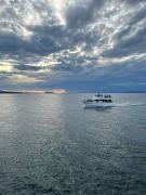 Tour en Yate a Isla Tortuga con Hospedaje