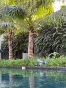 Top Phnom Penh