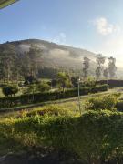 Top Araku