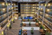 Top Bellevue