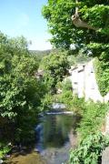 Top Belgentier