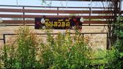Top Uttaradit