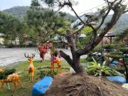 Top Guoxing