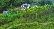 Top Sringeri