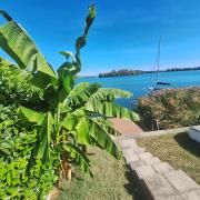 Vízparti horgász és nyaraló ház