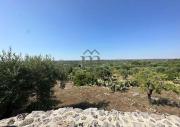 Top Ostuni