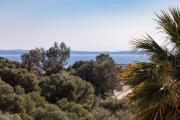 Top Bormes-les-Mimosas