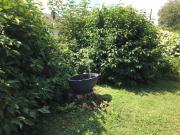 Top Dießen am Ammersee