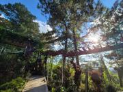 Top Baguio