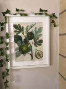 Top São Bartolomeu de Messines