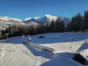 Top Morillon