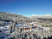 Top Morillon