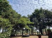 Top Celorico da Beira