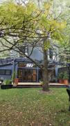 Top Leura