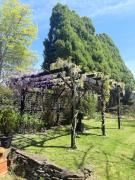 Top Leura