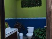 Hospedaje Coffee Mountain