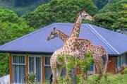 Yembeni Private Bush Lodge, Ballito, KZN, South Africa